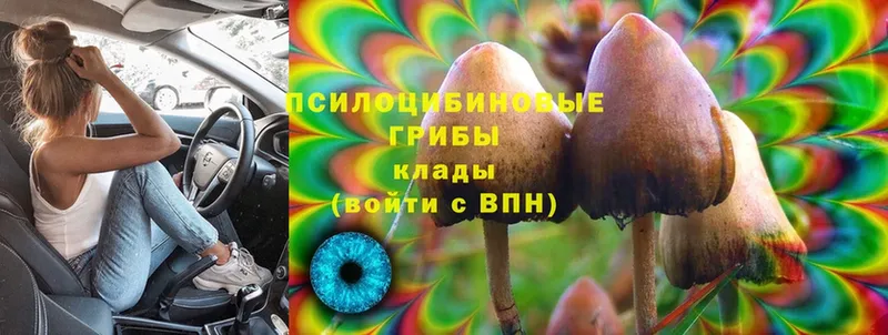 Галлюциногенные грибы MAGIC MUSHROOMS  Раменское 